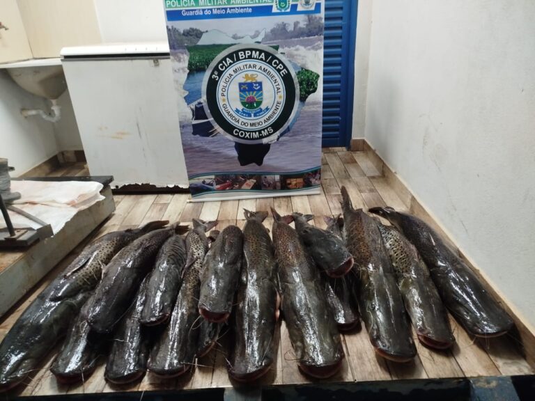 PMA de Coxim apreende 134 kg de pescado ilegal durante operação na região dos Bispos