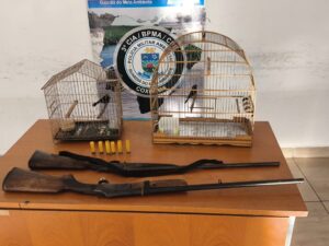 PMA de Coxim apreende armas e aves silvestres mantidas ilegalmente em cativeiro
