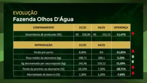 Pecuária de alta performance: os pilares da fazenda de gado mais rentável do país