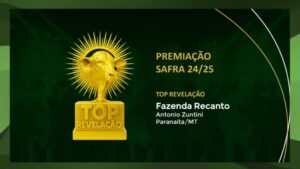 Pecuária lucrativa: as 15 fazendas top rentáveis da safra 2024/2025