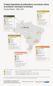 Polinização por abelhas e animais contribui com até 25% do valor da produção do agro
