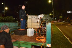 Prefeitura avança na preservação das figueiras com nova fase de manejo
