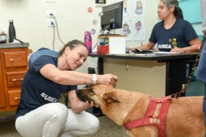 Prefeitura leva ações de Bem-Estar Animal a diversos bairros em agosto