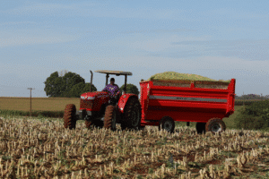 Prefeitura seleciona agricultores familiares para distribuição gratuita de fertilizante orgânico