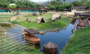 Sobe para 16 o número de galinhas-d’angola mortas no BioParque do Rio