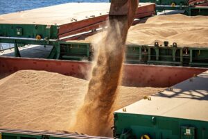 Soja: Imea projeta estoque de 940 mil t em Mato Grosso para safra 2025/26