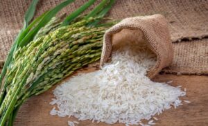 Tarifa de Trump pode causar perdas de R$ 138 milhões ao arroz brasileiro