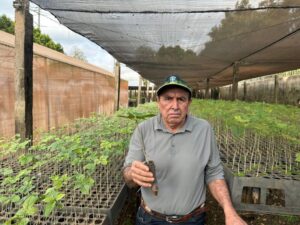 Vale a pena plantar no jardim ou no quintal no frio? Quais cuidados tomar!