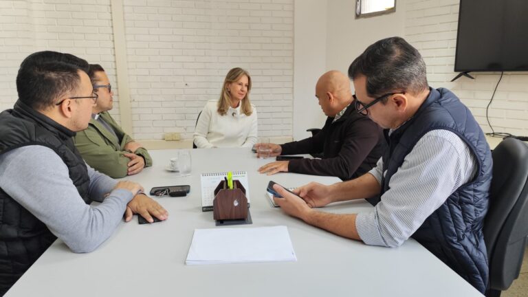 Vereador Ronilço Guerreiro se reúne com secretária para discutir projeto de restauração da Praça do Papa