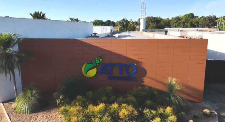ATTO Sementes aposta em sementes de alto vigor para transformar potencial em máxima produtividade