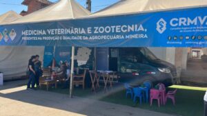 Agropecuária com segurança: como o veterinário garante a saúde do gado em exposições
