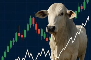 Boi gordo: derivativos movimentam R$ 19,6 bilhões em julho na B3