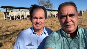 Boiada nelore de TO supera 21 arrobas com manejo de alta tecnologia