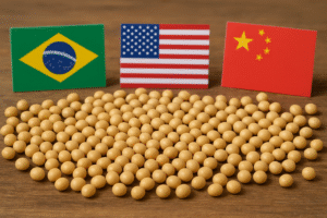 China aposta no Brasil e deixa EUA fora do mercado de soja
