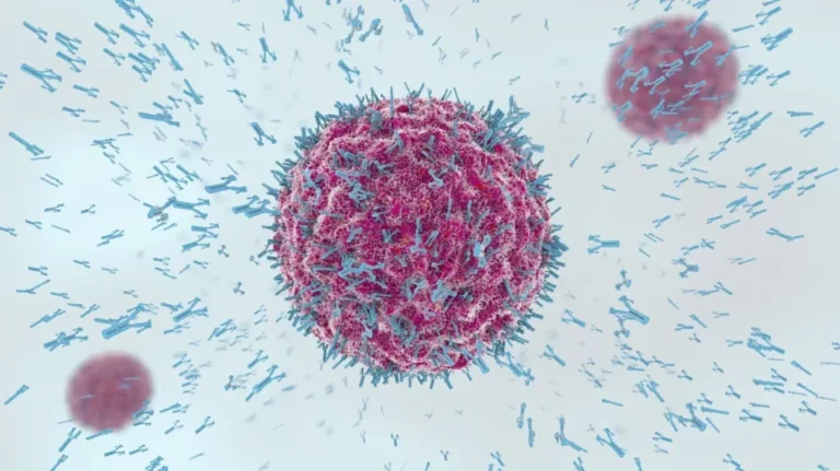 Cientistas descobrem “fonte da juventude” do sistema imunológico; entenda
