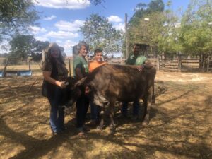 Com coragem e persistência, pai inspira filhos a reinventar a produção no campo