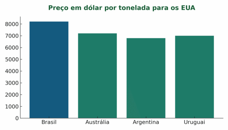 tonelada carne bovina aos EUA