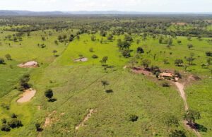 Congresso precisa impedir que projeto de licenciamento ambiental seja desconfigurado, diz especialista