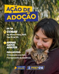 Feira Especial de Adoção oferece nova chance para gatinhos encontrarem um lar
