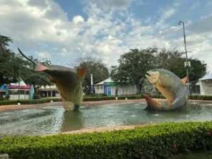 Festival de Inverno de Bonito 2025 começa nesta quarta-feira com shows de Elba Ramalho e Maestro Spok