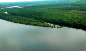 Frente Parlamentar da Agropecuária e CNA se reúnem para discutir Plano Clima