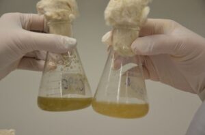 Indústria quer fixar limite máximo de produção de bioinsumos on farm