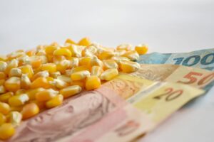 Milho cai com supersafra americana à vista, mas novas altas ainda estão no radar