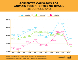 Mortes por picadas de abelhas africanizadas aumentam 123% em quatro anos