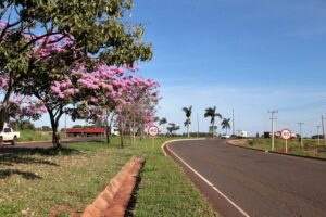 Obras de praça no Indubrasil são iniciadas após articulação de Rafael Tavares