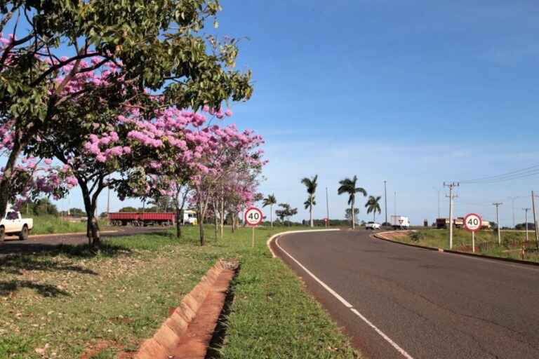 Obras de praça no Indubrasil são iniciadas após articulação de Rafael Tavares