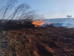 PMA autua proprietário rural em Sonora por uso irregular do fogo