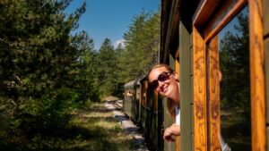 Passeios de trem pelo Brasil: descubra rotas incríveis e vistas