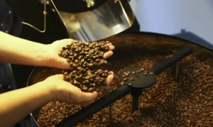 Preço do café cai pela primeira vez depois de um ano e meio, diz IBGE