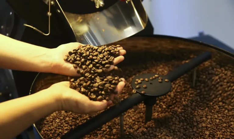 Preço do café cai pela primeira vez depois de um ano e meio, diz IBGE