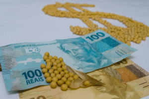 Preços apresentam estabilidade no mercado de soja; saiba as cotações do dia