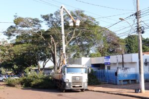 Prefeitura melhora infraestrutura e faz supressão e podas de árvores na UBS IV Plano 