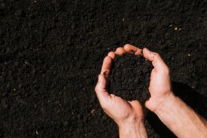 Sanções da Otan contra Rússia podem elevar custo de fertilizantes no Brasil