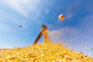 Seminário debaterá mercado mundial de soja; inscreva-se!