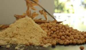 Soja brasileira sofrerá impacto do tarifaço? Consultor responde