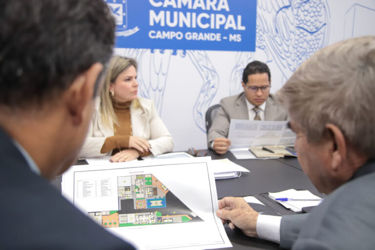 Vice-prefeita apresenta ações de assistência social e atualiza vereadores sobre acolhimento a pessoas em situação de rua na Capital