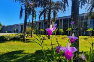 <b>Agenda:</b> Última semana de agosto tem sessão solene na ALEMS