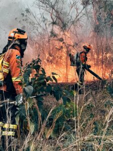 <b>Agosto Cinza</b>: MS registra até mil incêndios no mês mais crítico e reforça alerta