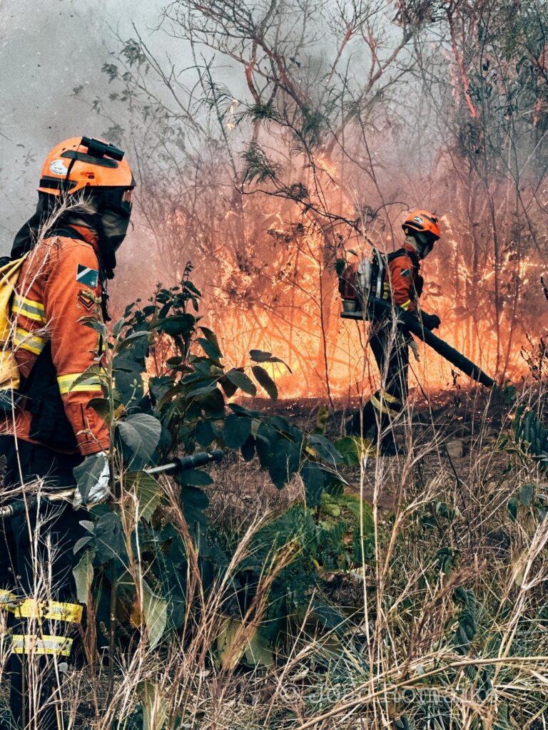 <b>Agosto Cinza</b>: MS registra até mil incêndios no mês mais crítico e reforça alerta