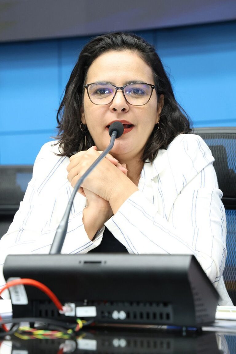 <b>Audiência:</b> Propostas de MS debatidas na ALEMS vão integrar relatório do PNE