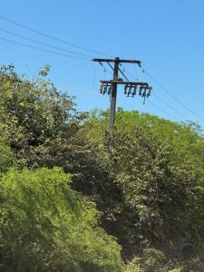 AGEMS amplia Acordo de Cooperação para manejo sustentável da arborização urbana e segurança elétrica com adesão de Ladário