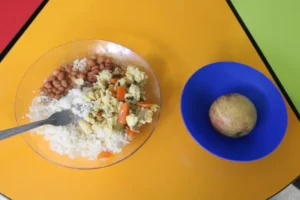 Aprovado projeto que amplia compra de alimentos da agricultura familiar para a merenda escolar