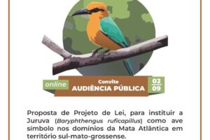 Assembleia debate amanhã a escolha da juruva como ave símbolo da Mata Atlântica