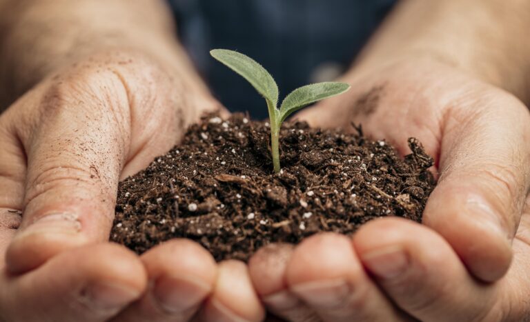 Brasil e Reino Unido firmam memorando sustentável com acordo voltado a fertilizantes