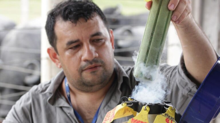 Tanque com sêmen congelado. Foto: Ronaldo Rosa/Embrapa Amazônia Oriental