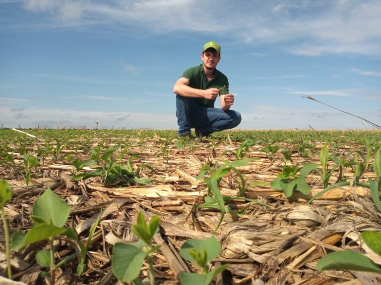 Clima indefinido e custos elevados: os desafios para a nova safra de soja em MT